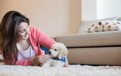 7 Behaviors to Look Out for in a New Puppy