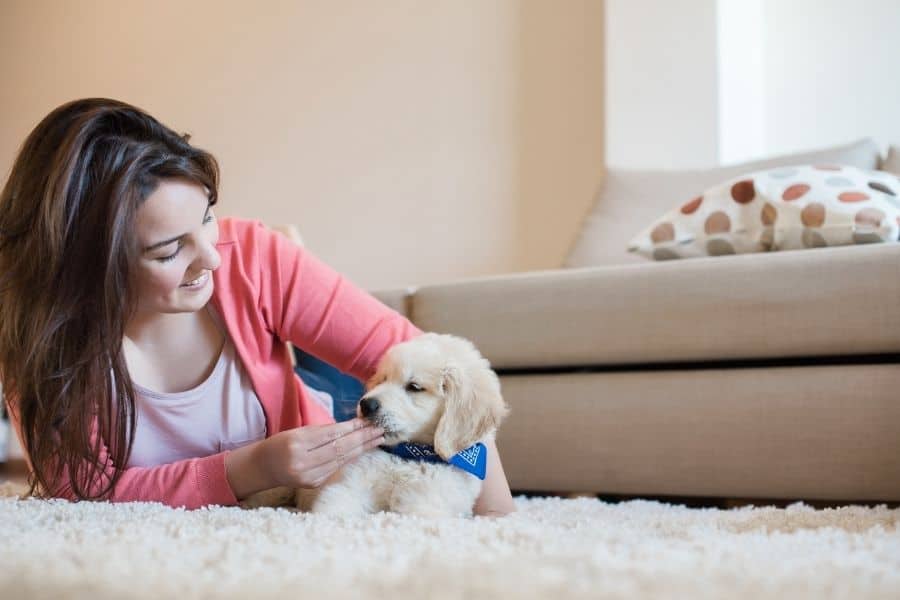 7 Behaviors to Look Out for in a New Puppy