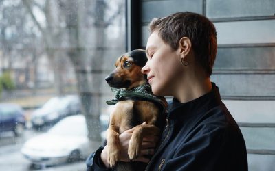 dog with owner in seattle