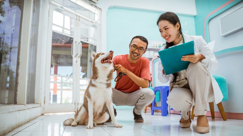 Always Rule Out Behavior Problems with a Vet Visit