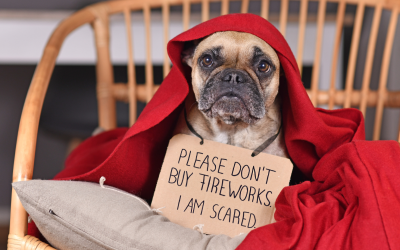 Firework Anxiety in Dogs: How to Calm Your Dog During Fireworks