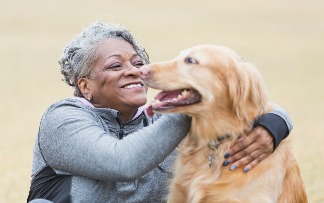 Five Hidden Benefits of Training: Strengthening the Bond with Your Pet!