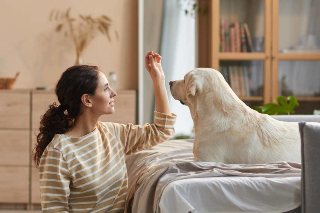 Enjoy the benefits of training your dog. 